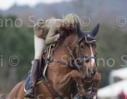 Vizzini Quinta Roo TosTour 2013- S5 7223 : Arezzo Equestrian Centre, Quinta Roo, Toscana Tour 2013, Vizzini Lucia, foto di Stefano Secchi ©